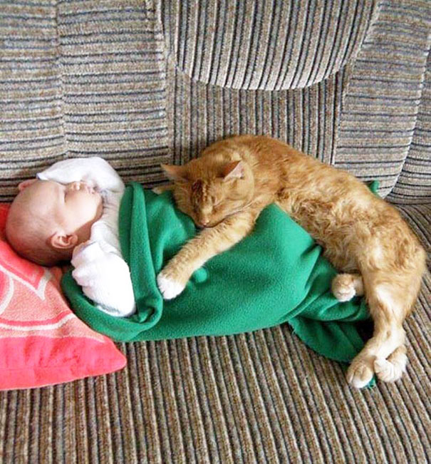 Fotografie che ti Dimostrano l'Importanza di Avere un Gatto per i Bambini