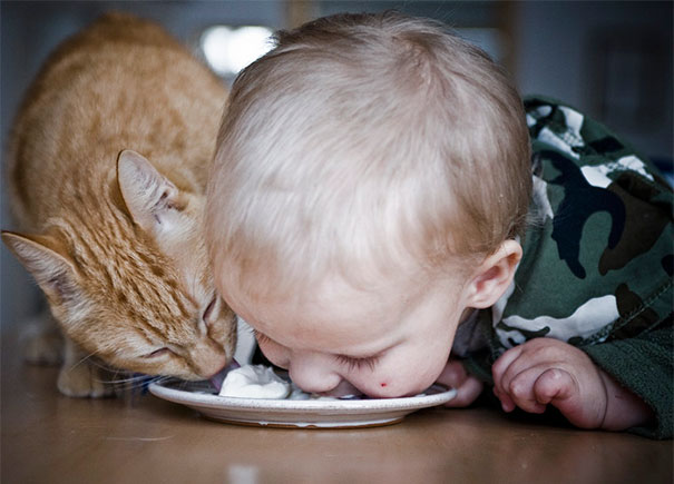 Fotografie che ti Dimostrano l'Importanza di Avere un Gatto per i Bambini