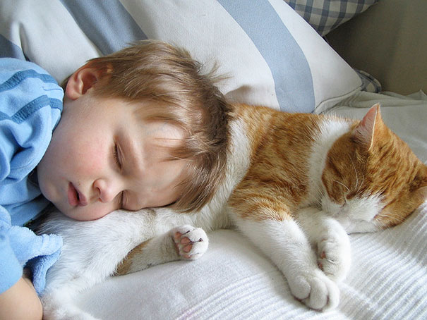 Fotografie che ti Dimostrano l'Importanza di Avere un Gatto per i Bambini