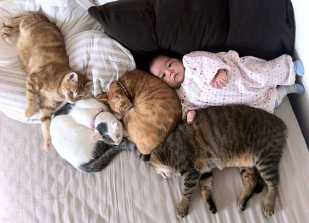 Fotografie che ti Dimostrano l'Importanza di Avere un Gatto per i Bambini