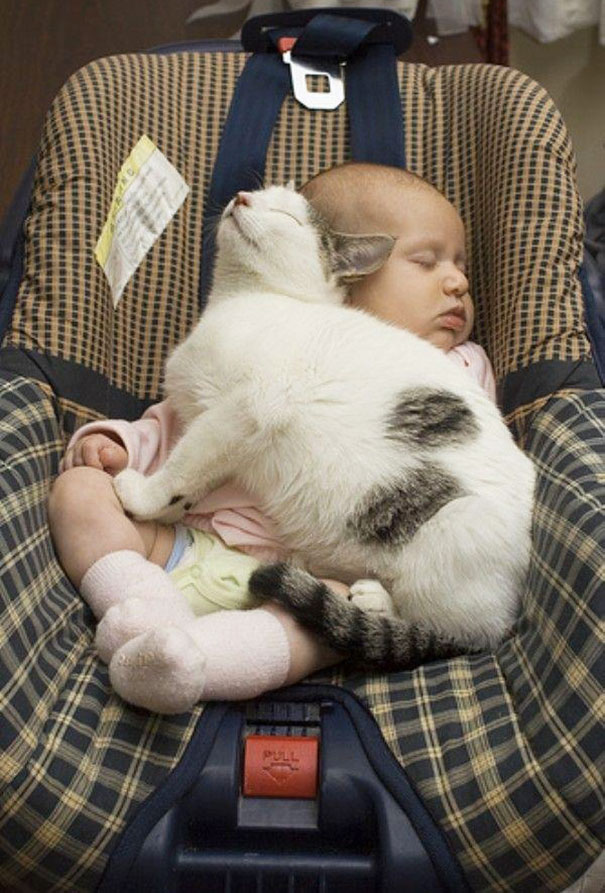 Fotografie che ti Dimostrano l'Importanza di Avere un Gatto per i Bambini