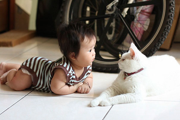 Fotografie che ti Dimostrano l'Importanza di Avere un Gatto per i Bambini