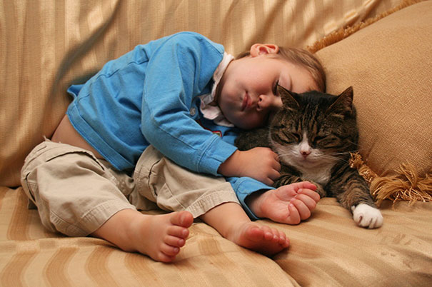 Fotografie che ti Dimostrano l'Importanza di Avere un Gatto per i Bambini