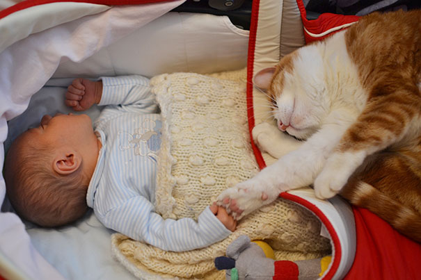 Fotografie che ti Dimostrano l'Importanza di Avere un Gatto per i Bambini