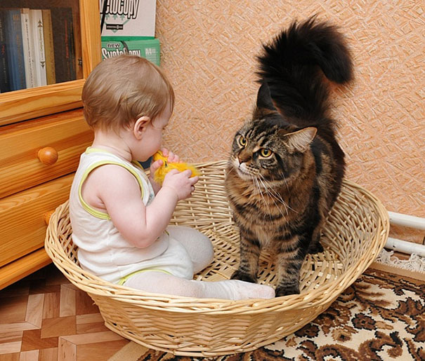 Fotografie che ti Dimostrano l'Importanza di Avere un Gatto per i Bambini