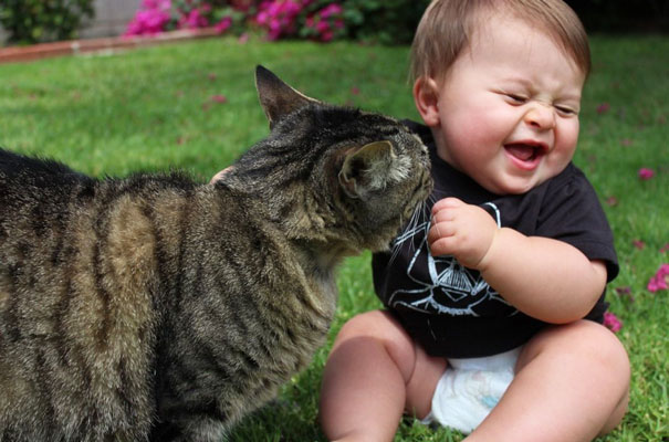 Fotografie che ti Dimostrano l'Importanza di Avere un Gatto per i Bambini