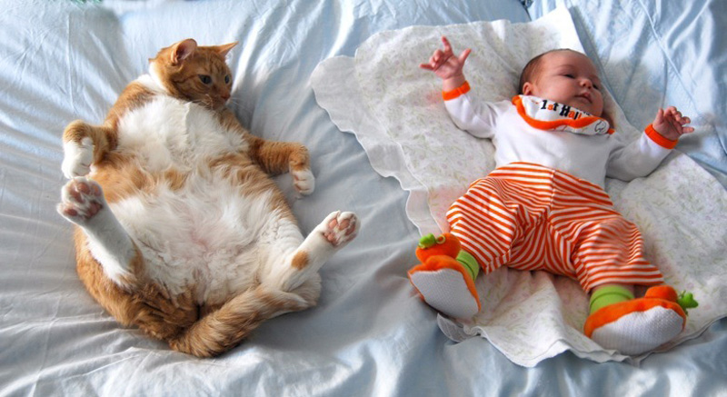 Fotografie che ti Dimostrano l'Importanza di Avere un Gatto per i Bambini
