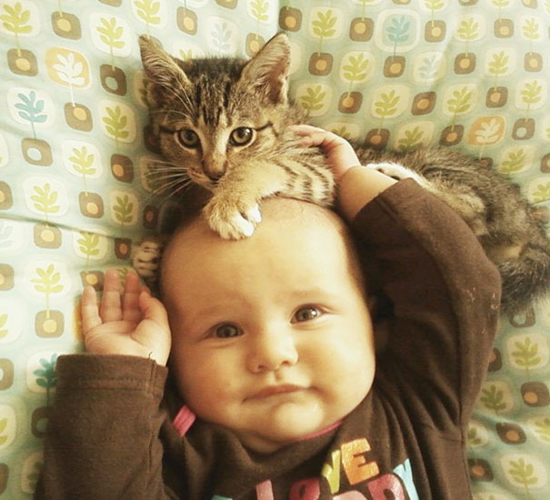 Fotografie che ti Dimostrano l'Importanza di Avere un Gatto per i Bambini