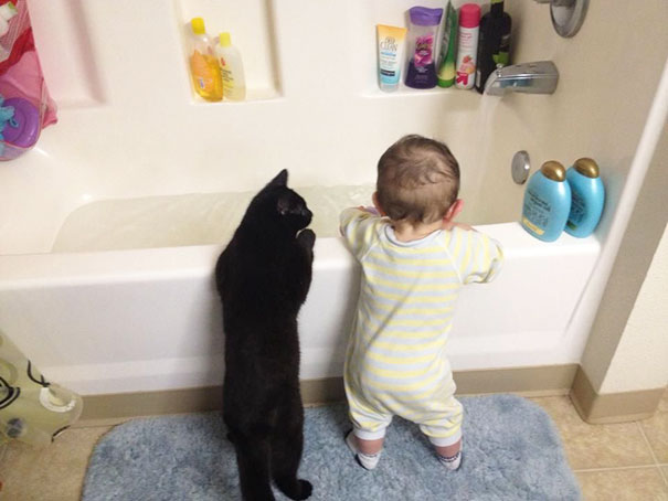 Fotografie che ti Dimostrano l'Importanza di Avere un Gatto per i Bambini