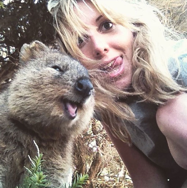 In Posa con il Quokka: Ecco la Nuova Frontiera dell'Autoscatto che arriva dall'Australia