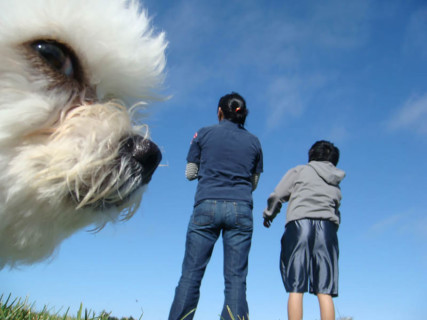 28 Animali Photobomber Che Rovineranno le Vostre Foto Ricordo 28 Animali Photobomber Che Rovineranno le Vostre Foto Ricordo