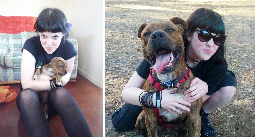 Piccoli Cani Crescono: le Foto Prima e Dopo di Questi Dolcissimi Cuccioli
