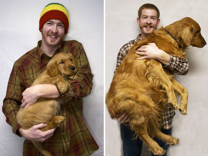 Piccoli Cani Crescono: le Foto Prima e Dopo di Questi Dolcissimi Cuccioli