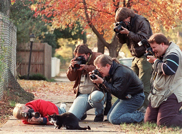 Fotografi Disposti a Tutto per una Foto: Ecco le Pose Più Divertenti