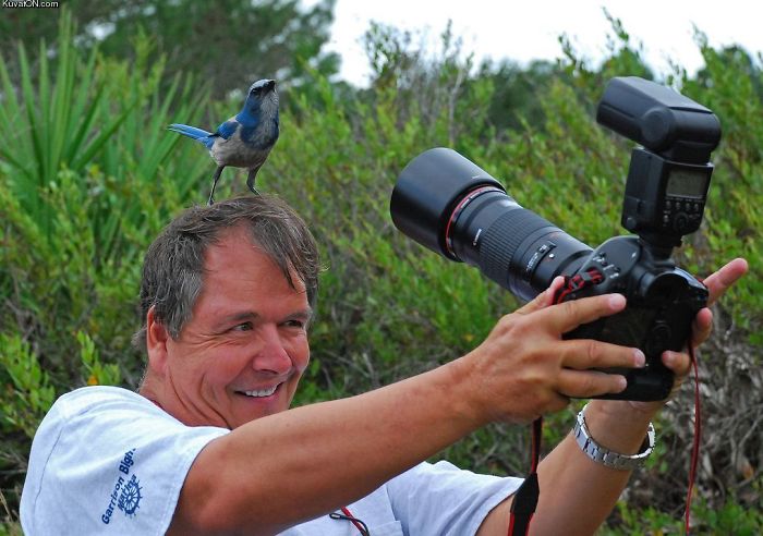 Fotografi Disposti a Tutto per una Foto: Ecco le Pose Più Divertenti