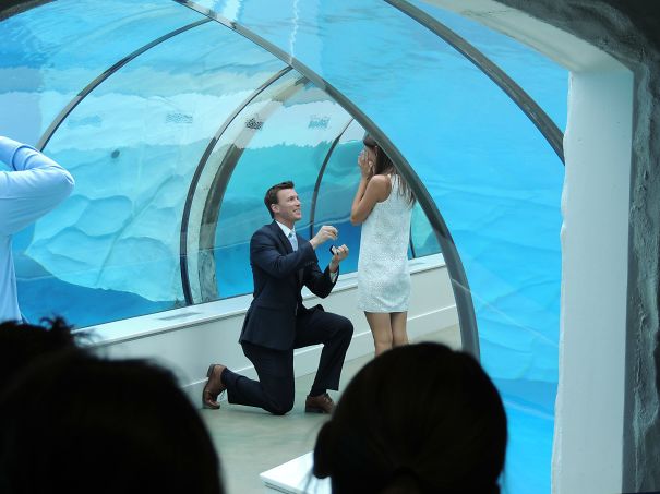 30 Romantiche Proposte di Matrimonio da Togliere il Fiato