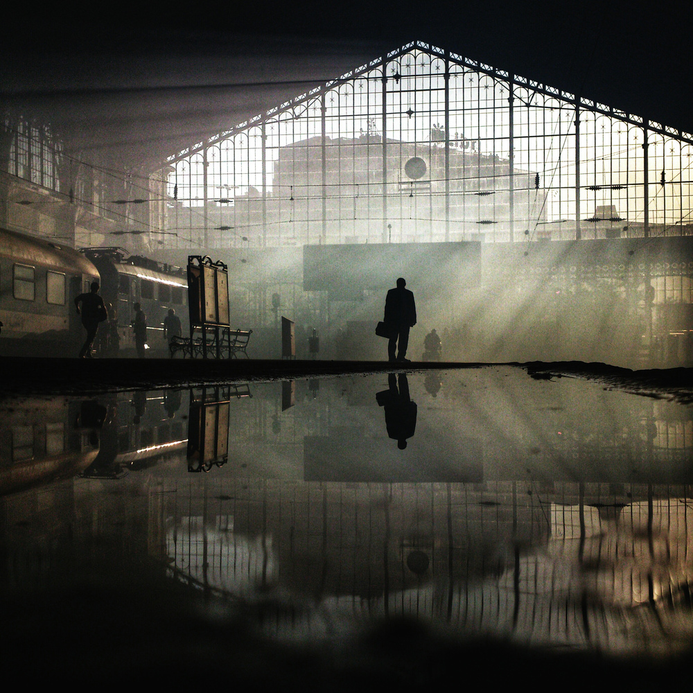 Le 20 Fotografie Più Belle del Mondo Scattate con uno Smartphone