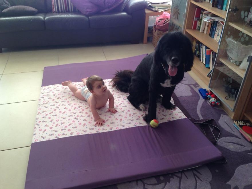 I Migliori Baby Sitter al Mondo? Sono i Cani, Eccone la Prova!