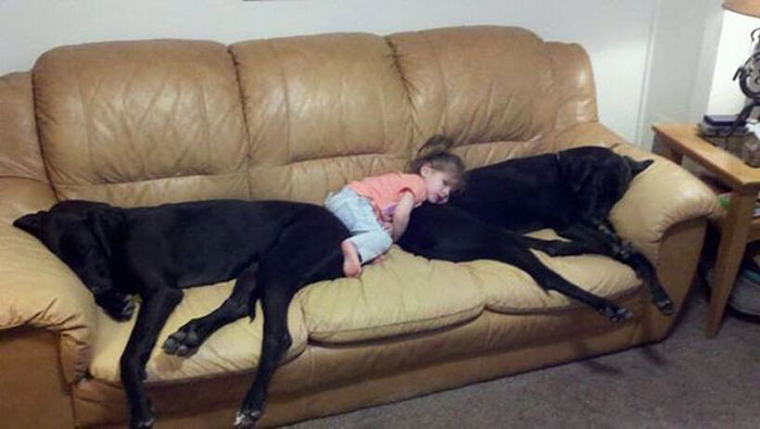 I Migliori Baby Sitter al Mondo? Sono i Cani, Eccone la Prova!