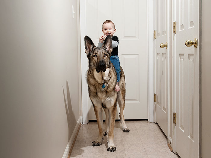 I Migliori Baby Sitter al Mondo? Sono i Cani, Eccone la Prova!