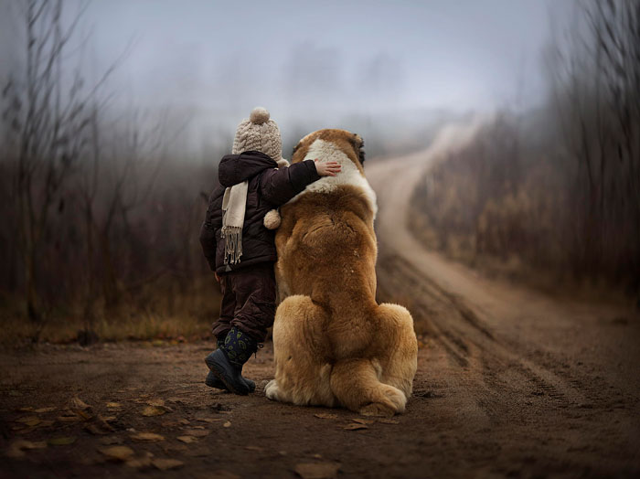 I Migliori Baby Sitter al Mondo? Sono i Cani, Eccone la Prova!