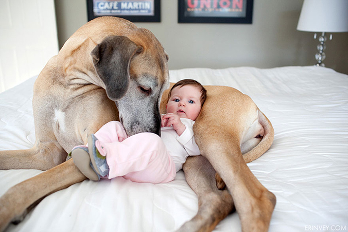 I Migliori Baby Sitter al Mondo? Sono i Cani, Eccone la Prova!