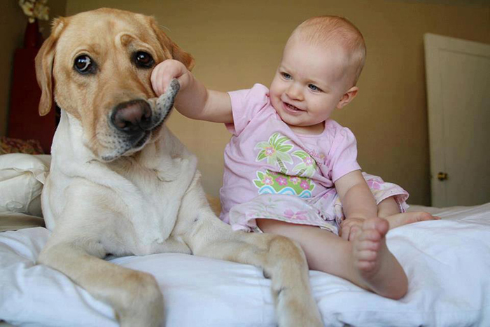 I Migliori Baby Sitter al Mondo? Sono i Cani, Eccone la Prova!