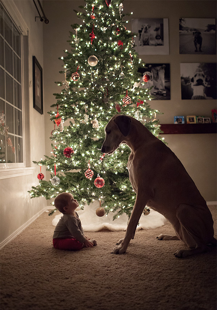 I Migliori Baby Sitter al Mondo? Sono i Cani, Eccone la Prova!