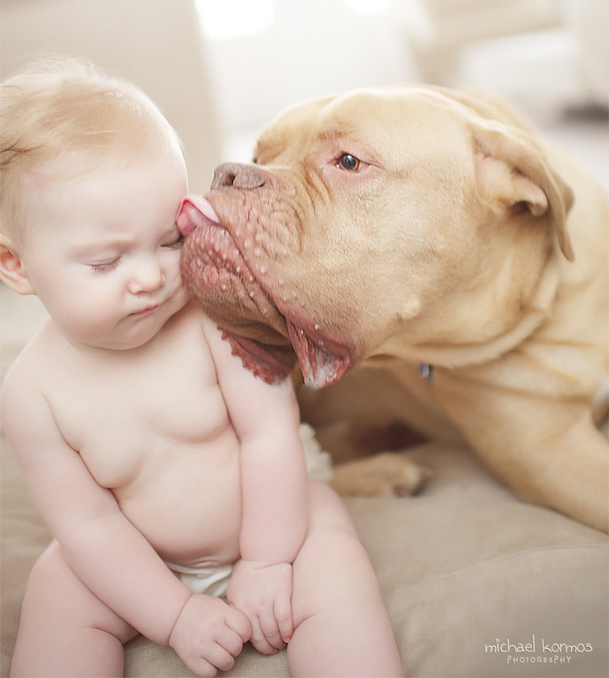 I Migliori Baby Sitter al Mondo? Sono i Cani, Eccone la Prova!