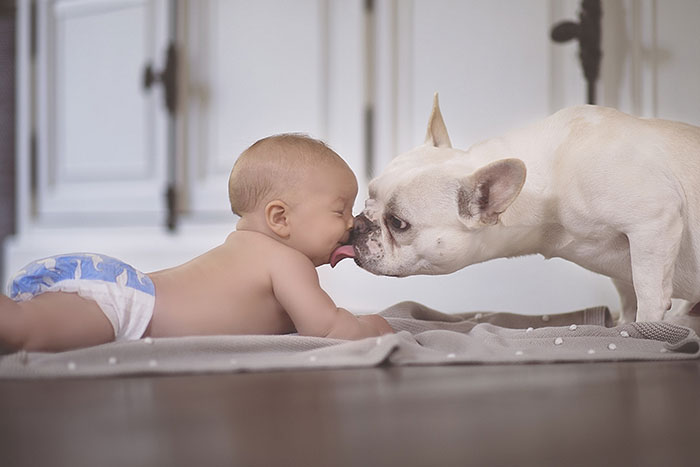 I Migliori Baby Sitter al Mondo? Sono i Cani, Eccone la Prova!