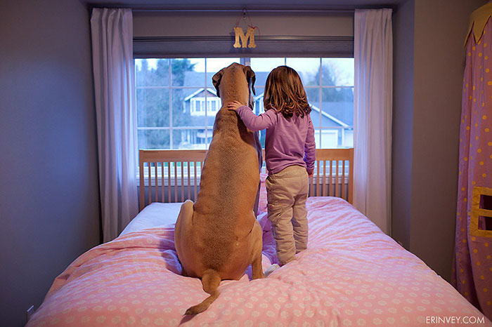 I Migliori Baby Sitter al Mondo? Sono i Cani, Eccone la Prova!