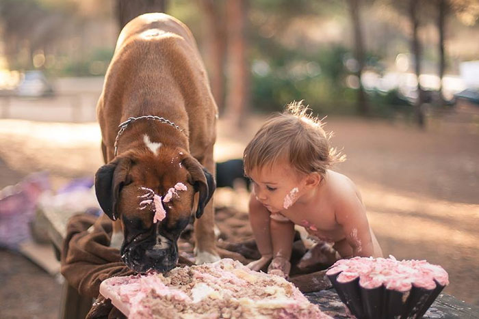I Migliori Baby Sitter al Mondo? Sono i Cani, Eccone la Prova!