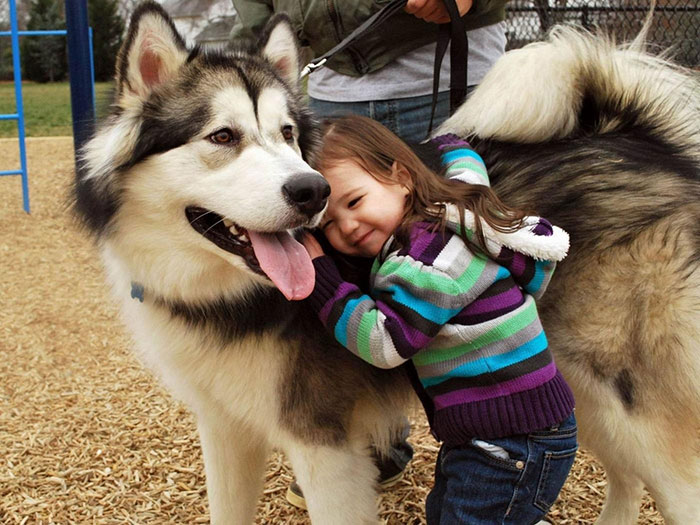 I Migliori Baby Sitter al Mondo? Sono i Cani, Eccone la Prova!