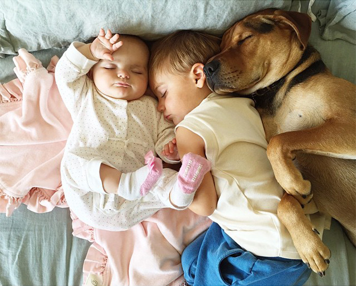 I Migliori Baby Sitter al Mondo? Sono i Cani, Eccone la Prova!