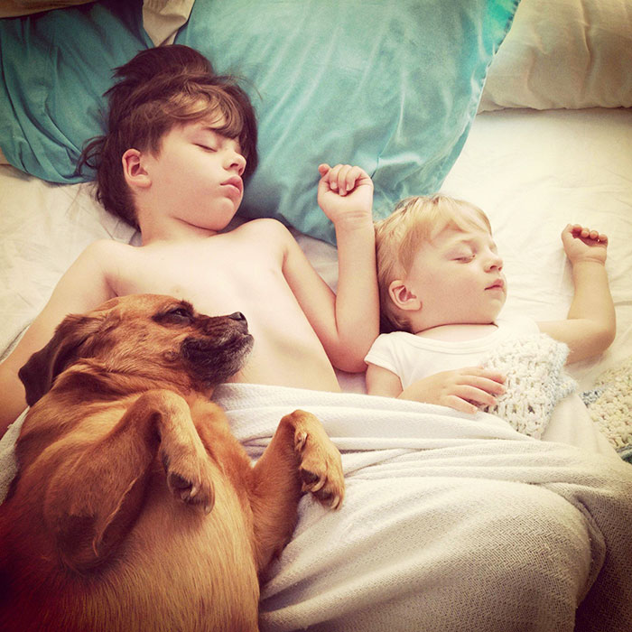 I Migliori Baby Sitter al Mondo? Sono i Cani, Eccone la Prova!