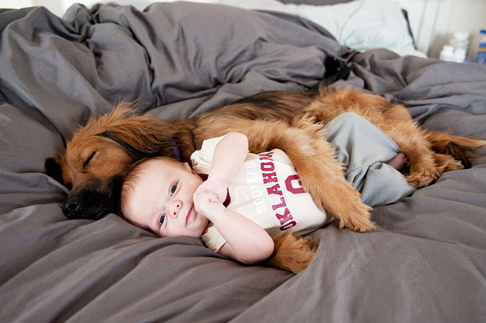 I Migliori Baby Sitter al Mondo? Sono i Cani, Eccone la Prova!