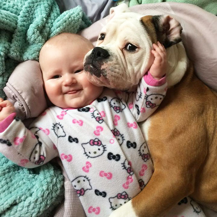 I Migliori Baby Sitter al Mondo? Sono i Cani, Eccone la Prova!