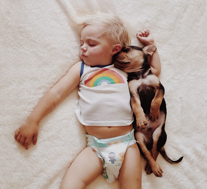 I Migliori Baby Sitter al Mondo? Sono i Cani, Eccone la Prova!