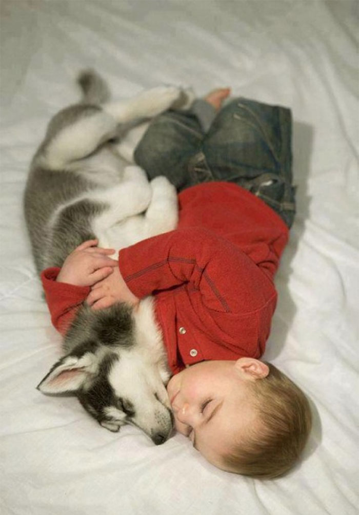I Migliori Baby Sitter al Mondo? Sono i Cani, Eccone la Prova!