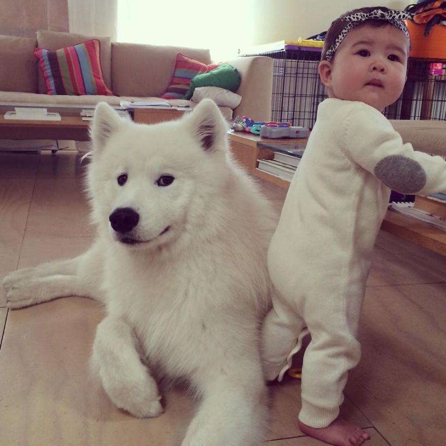 I Migliori Baby Sitter al Mondo? Sono i Cani, Eccone la Prova!