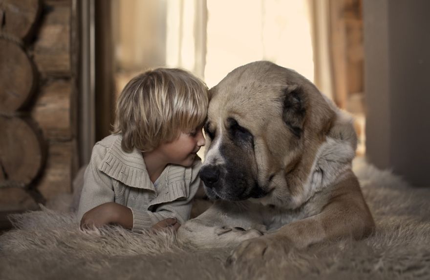 I Migliori Baby Sitter al Mondo? Sono i Cani, Eccone la Prova!