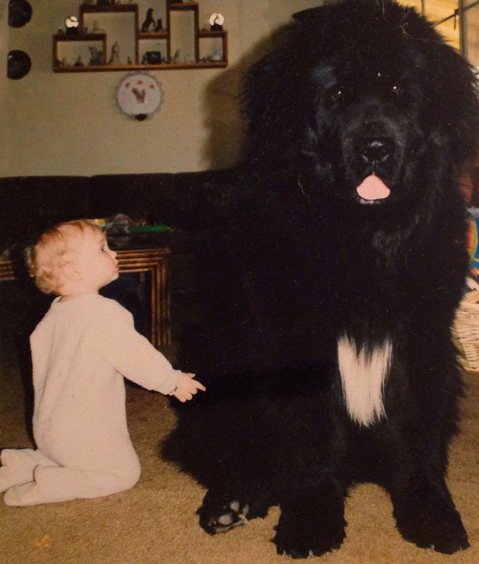 I Migliori Baby Sitter al Mondo? Sono i Cani, Eccone la Prova!