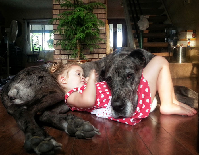 I Migliori Baby Sitter al Mondo? Sono i Cani, Eccone la Prova!