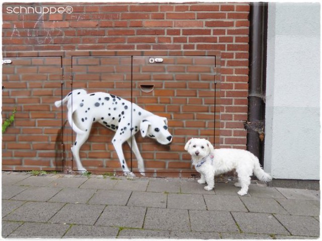 Che Tempismo! Foto di Cani Scattate “Inavvertitamente” nel Momento Giusto