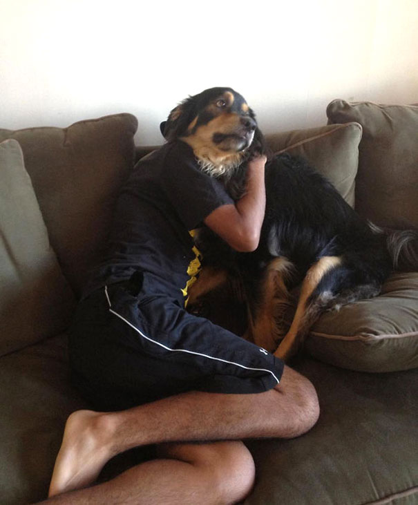 Che Tempismo! Foto di Cani Scattate “Inavvertitamente” nel Momento Giusto