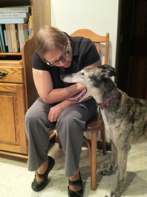 Che Tempismo! Foto di Cani Scattate “Inavvertitamente” nel Momento Giusto