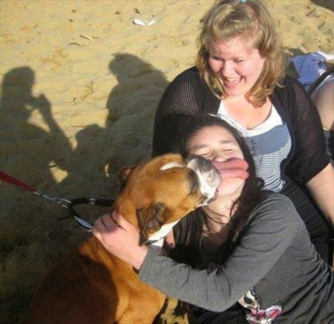 Che Tempismo! Foto di Cani Scattate “Inavvertitamente” nel Momento Giusto