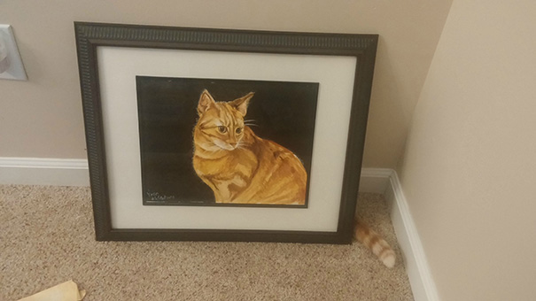 22 Gatti immortalati al Posto giusto nel Momento giusto...