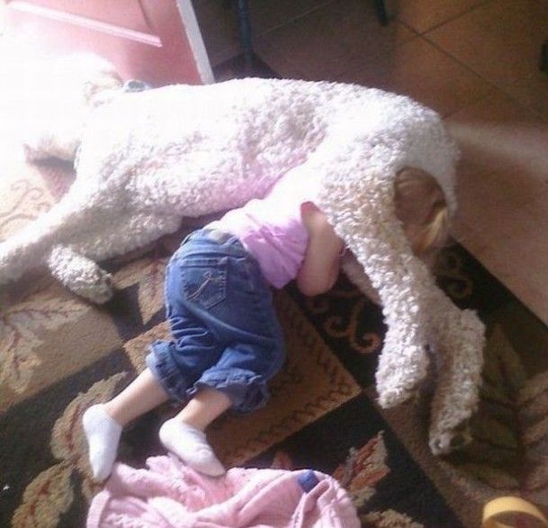 36 Bambini che Si Addormentano Davvero Ovunque!