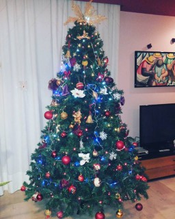 Natale Low Cost: alberi di natale creativi... anche senza aghi!